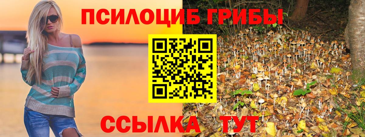 Псилоцибиновые грибы Psilocybine cubensis Скопин