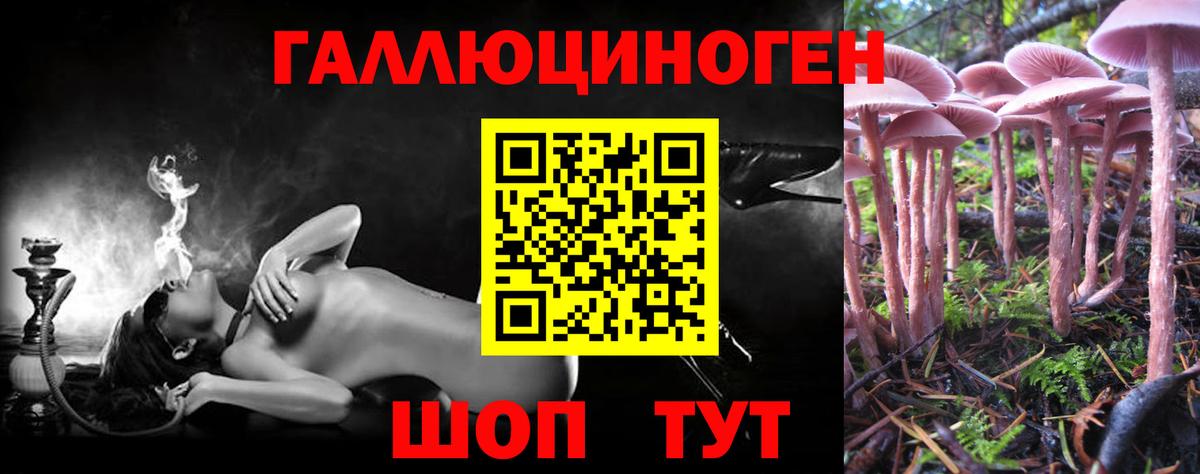Псилоцибиновые грибы MAGIC MUSHROOMS  Вход с VPN  Скопин 