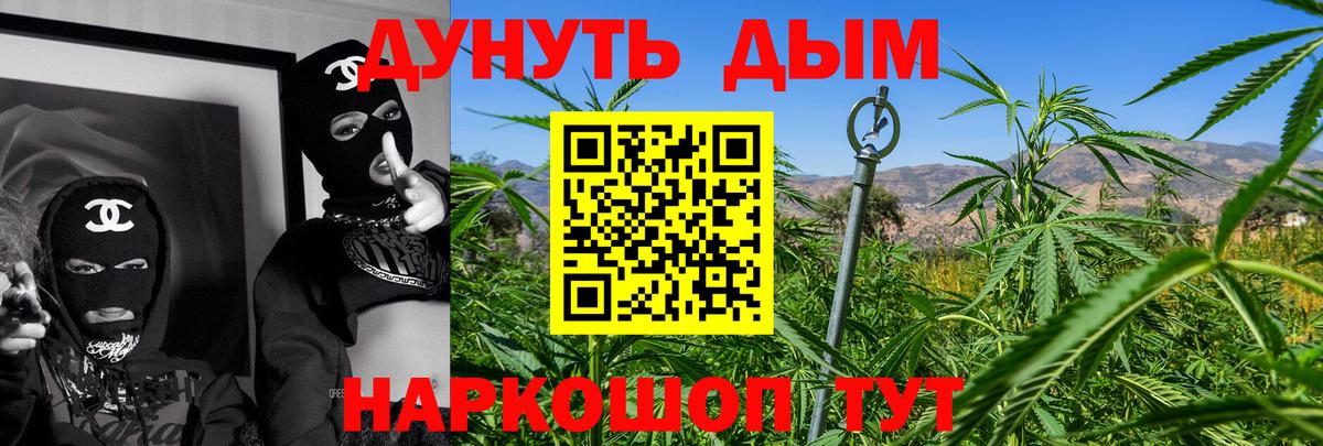 Бошки Шишки сатива Скопин